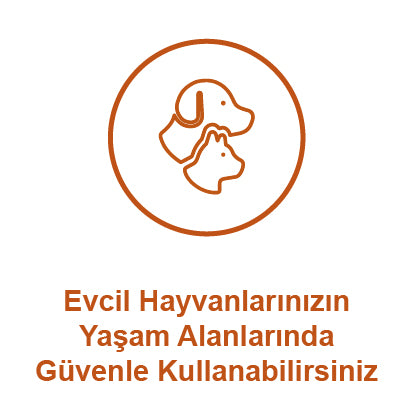 Evcil Hayvan dostu