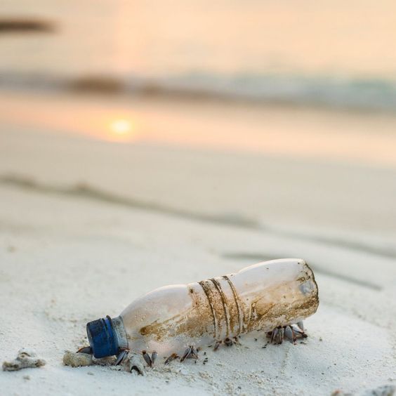 Mikroplastik Kirliliği ve Sentetik Kumaşlar: Nasıl Önlem Almalıyız?