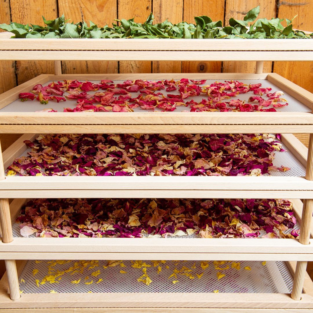 Pureal Potpori – Doğal Kurutulmuş Çiçekler