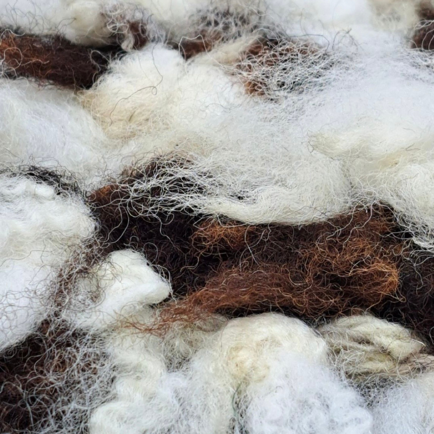 Pureal Saf Yıkanmamış Koyun Yünü | Lanolinli